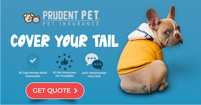 Pet Insurance - Prudent Pet Cover Your Tail Graphic with Get Quote Button